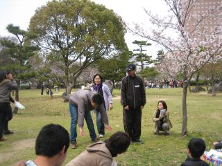 hanami 5.jpg